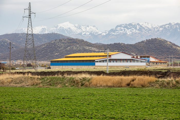 تصویر دوم